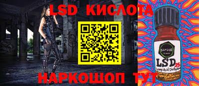 ПСИЛОЦИБИНОВЫЕ ГРИБЫ Кандалакша