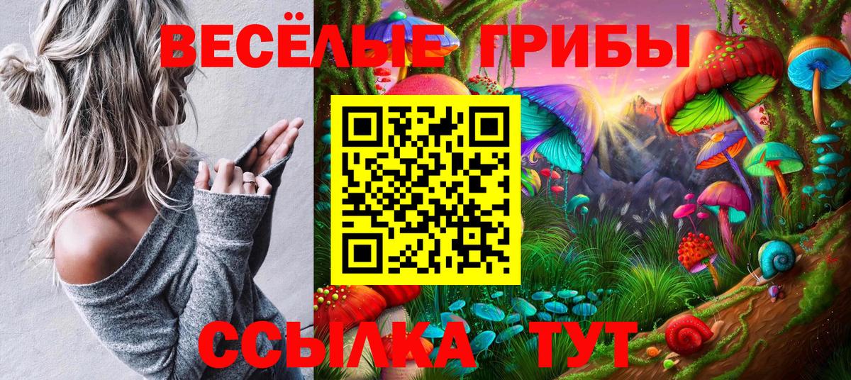 Галлюциногенные грибы Psilocybine cubensis  Вход с VPN  Кудрово 